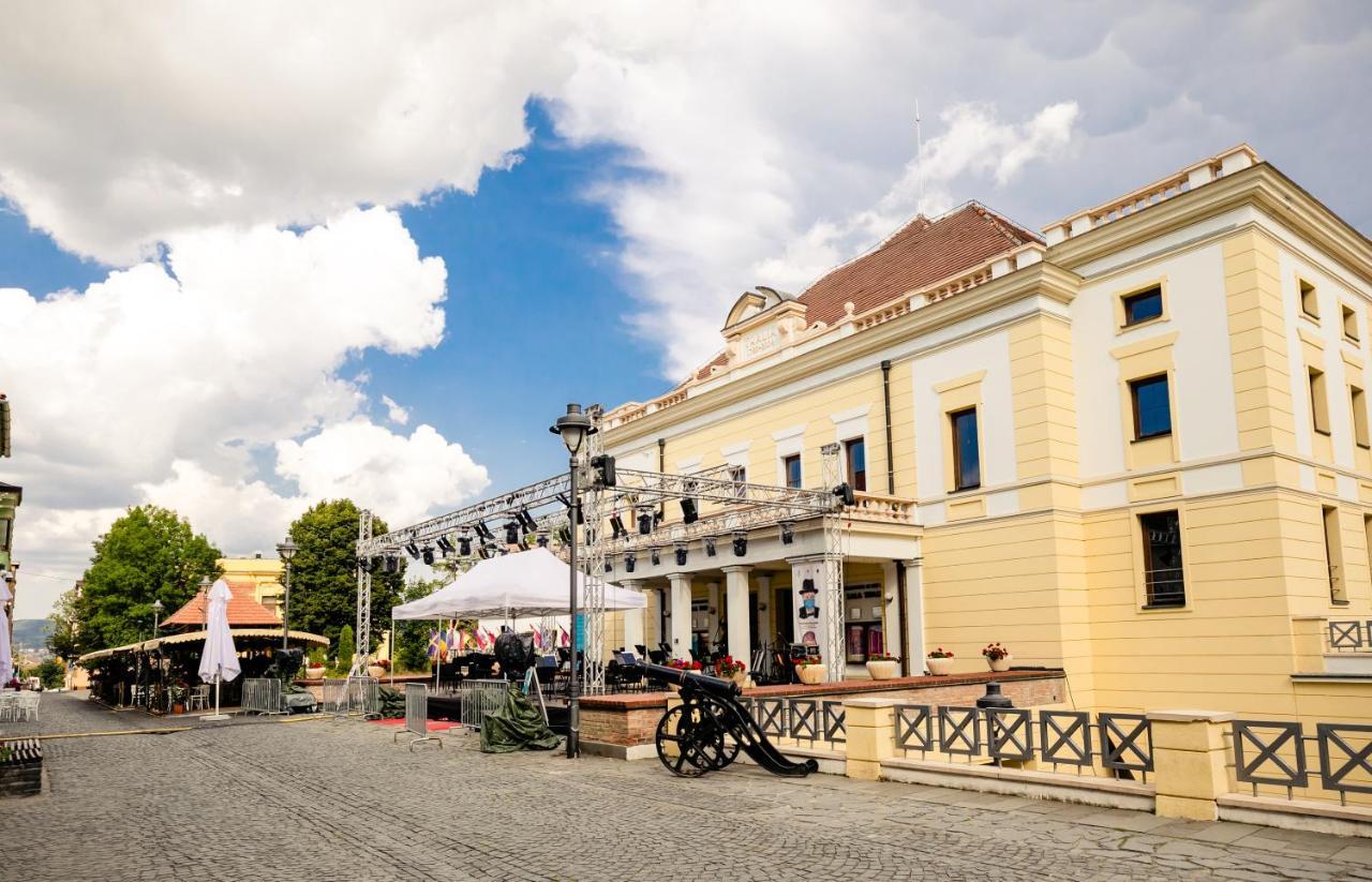 Апартаменти Studio Anisia Сібіу Екстер'єр фото